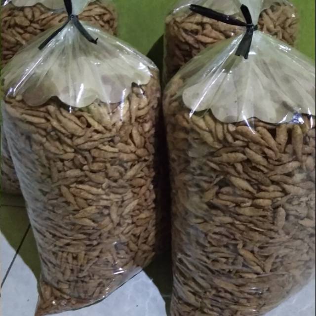 

Grosir Wader crispy 5kg