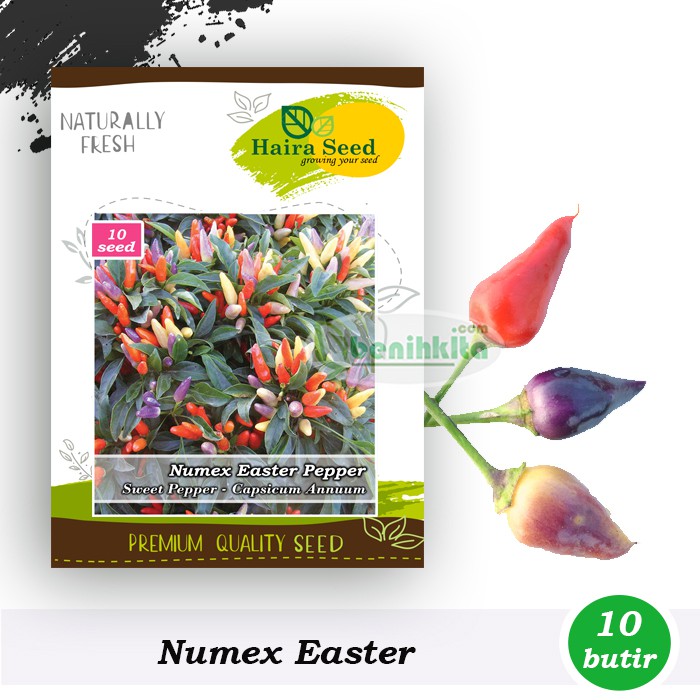 Benih-Bibit Cabe Hias Pelangi Numex Easter (Haira Seed)