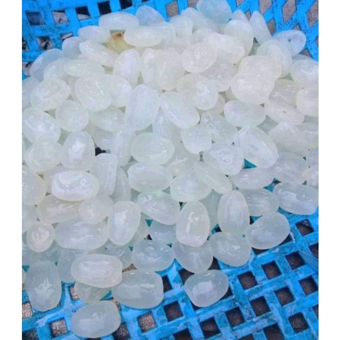 

Kolang Kaling segar / Caruluk berkualitas 1kg