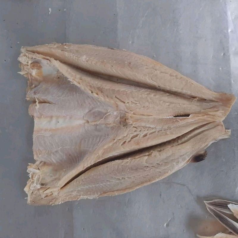 

Jambal Roti