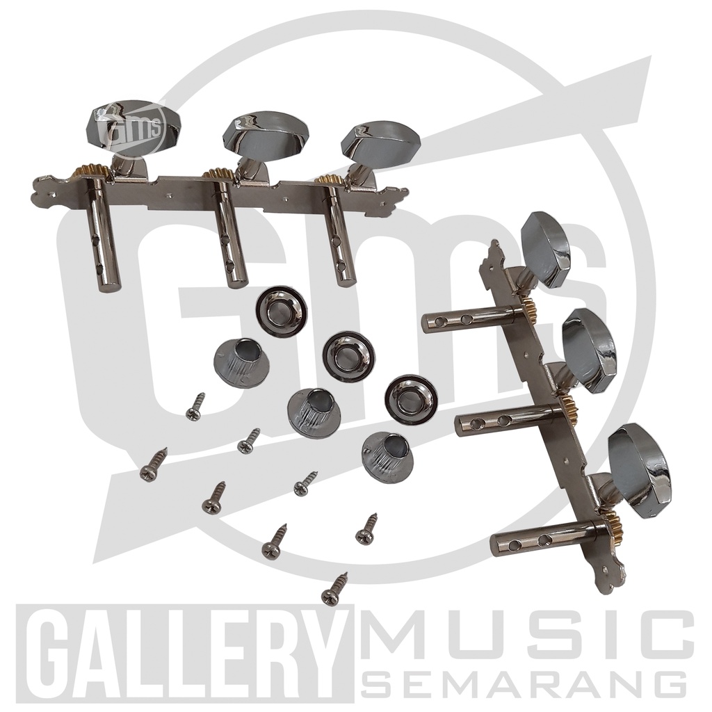 Dryer Gitar/Tuning/Peg Stainless (A24)