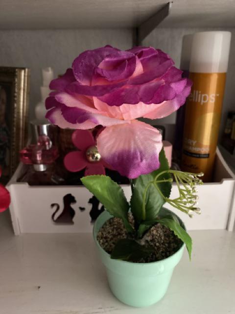 Ariani1318 Set Bunga Plastik Mawar A6070pi X6 Dengan Pot Plastik Tosca