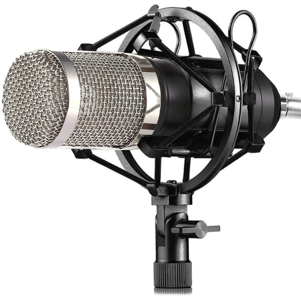 BM-900 MIC ONLY Professional Studio Condenser Sound Recording Microphone Unidirectional Cardioid