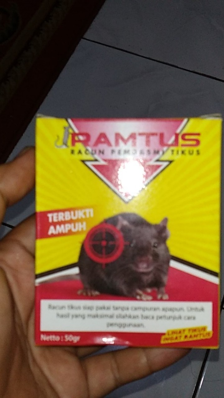 Racun Tikus Ramtus Asli Alami Mati Kering Tidak Bau Pembasmi Pengusir Tikus Paling Ampuh 12 Pack