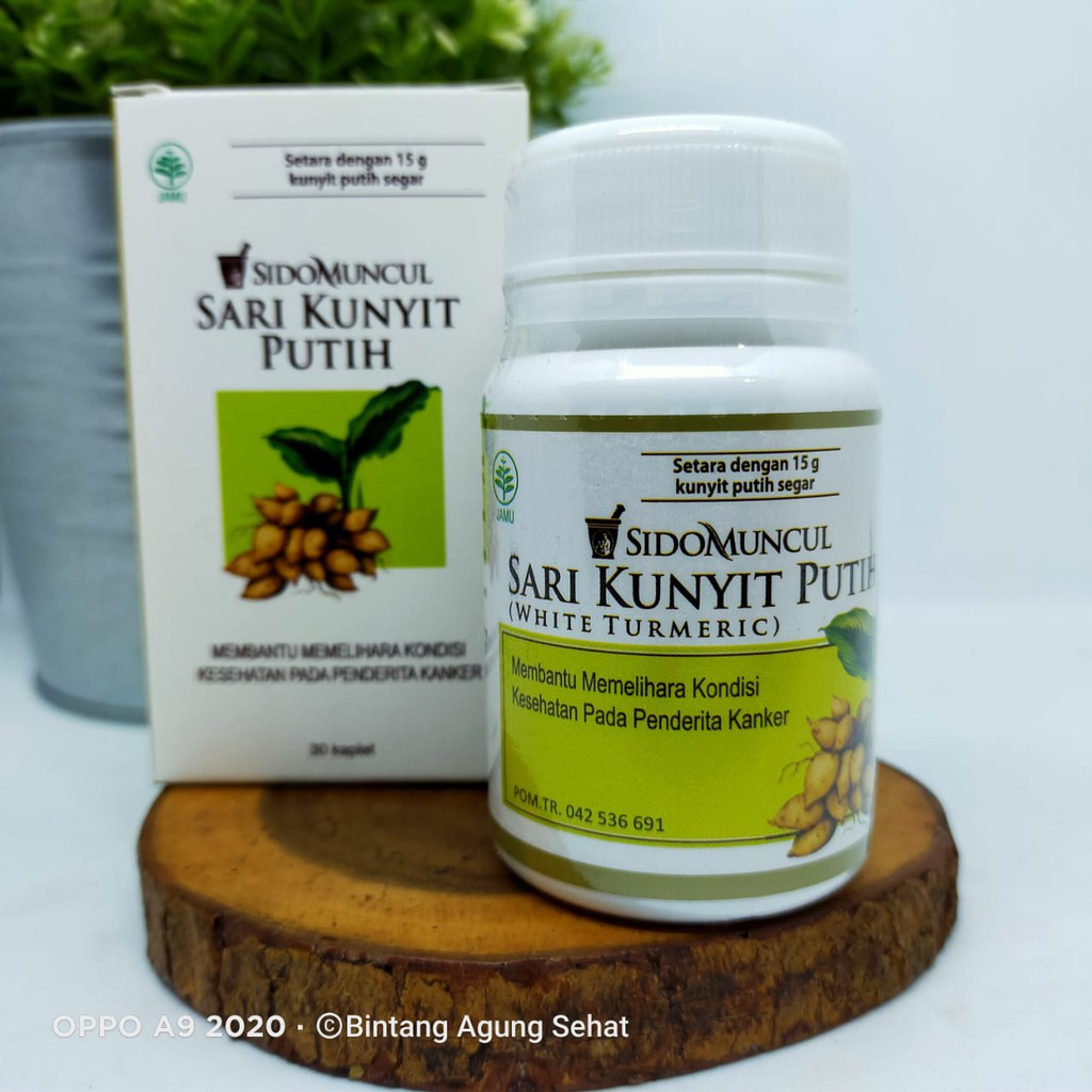 

SIDOMUNCUL SARI KUNYIT PUTIH (OBAT KANKER HERBAL PAYUDARA, PARU-PARU, USUS)