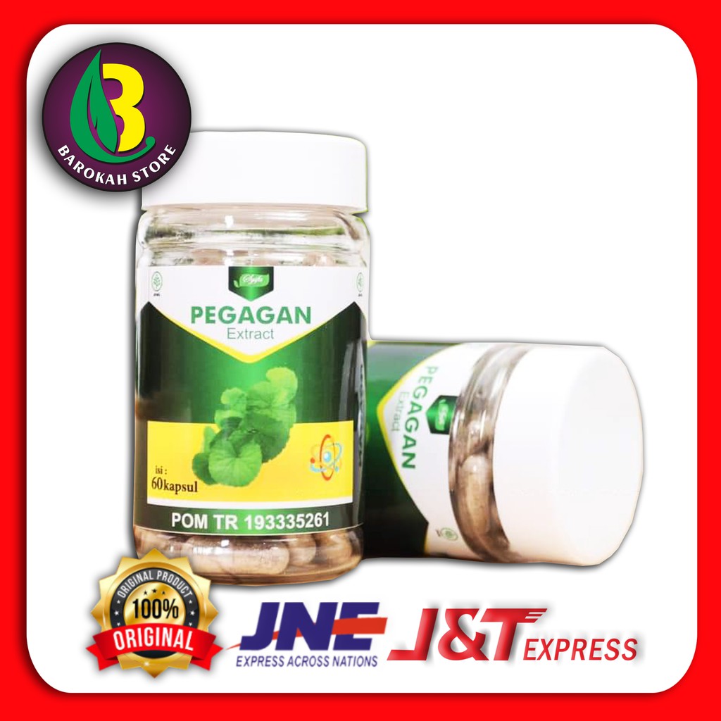 KAPSUL PEGAGAN / EXTRACT KAPSUL PEGAGAN / PEGAGAN