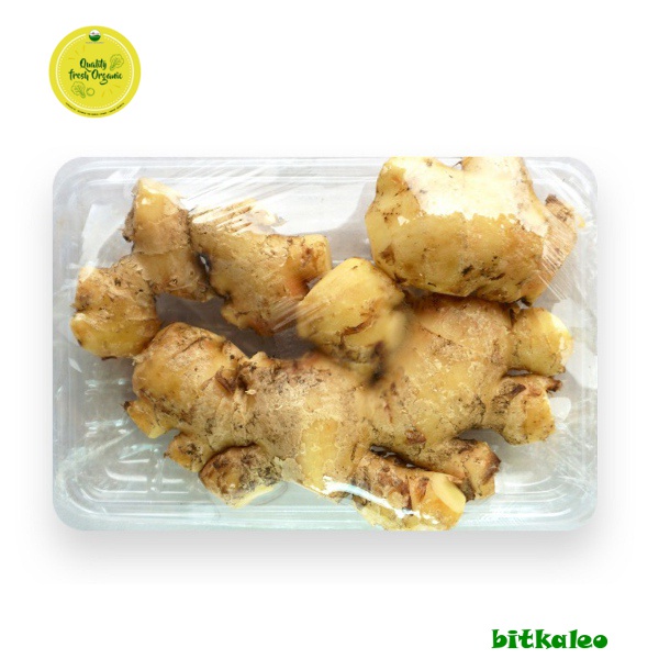 

Jahe Organik 500 gr (PO)
