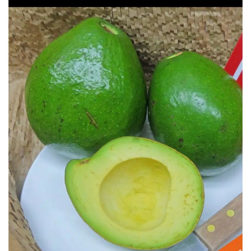 

Alpukat Mentega 1 kg