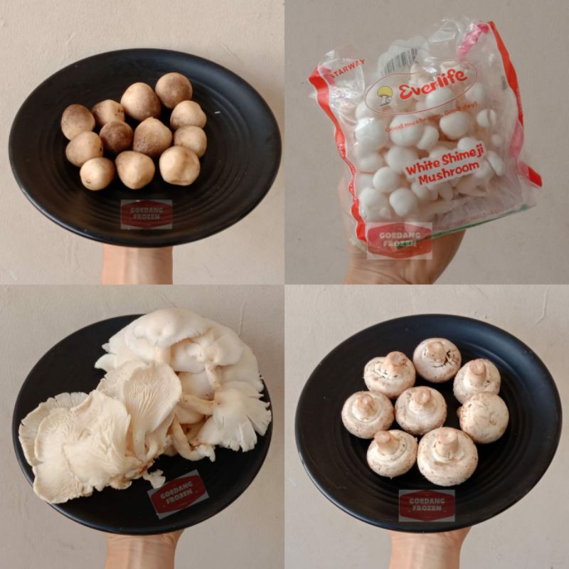 Jamur Tiram / Jamur Enoki / Jamur Champignon / Jamur Kuping / Jamur Bulat / Shimeji