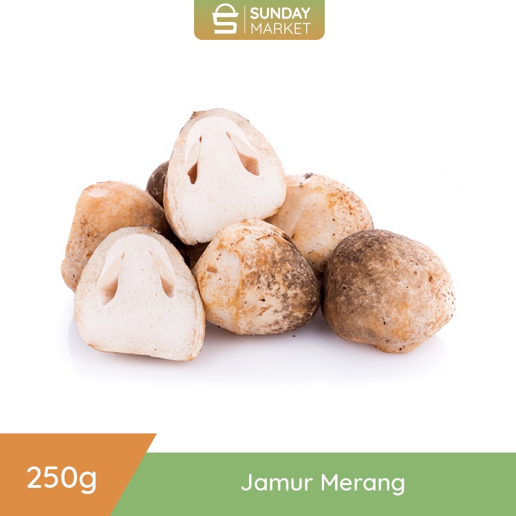 

Jamur Merang [250gr] | Fresh Setiap Hari