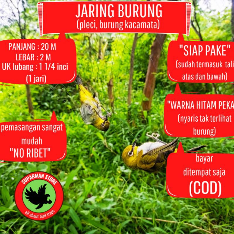 JARING BURUNG PLECI JARING BURUNG KACAMATA JARING BURUNG SIAP PAKE JARING BURUNG MURAH JARING KECIL