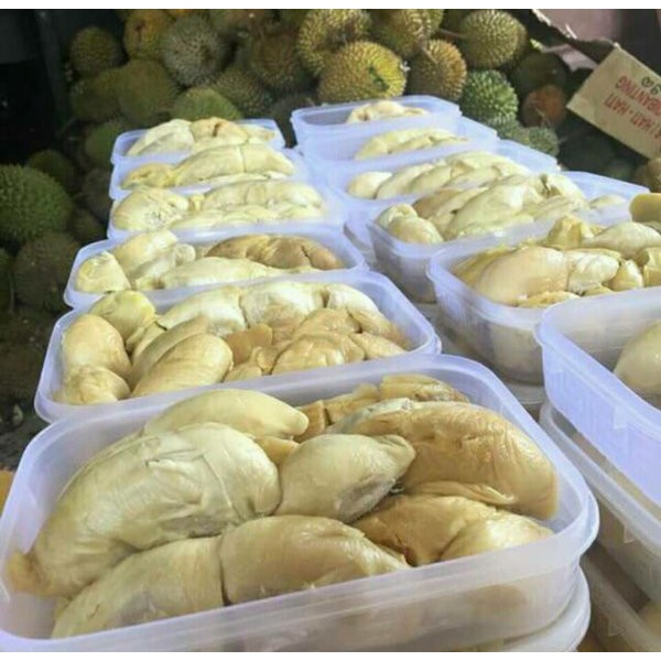 

Durian Duren Medan Papapangan