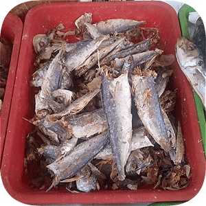 

Ikan Asin Layang Rebus 100 g