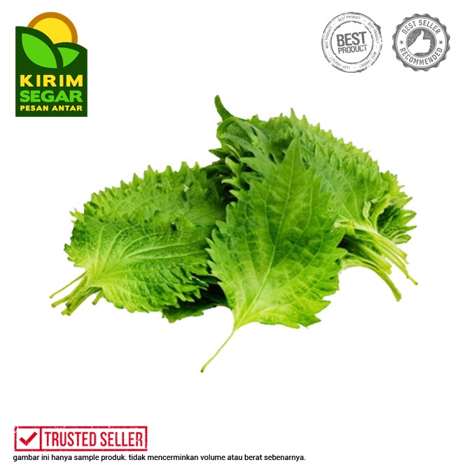 

Daun Shiso / Daun Oba / Daun Perilla / Japan Herb Segar / pack