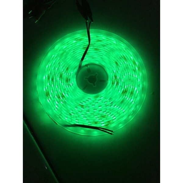 Lampu Led Strip Type IP65 2835 60 Led Roll 24Volt