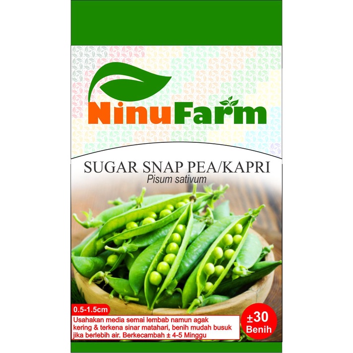 Benih Kapri Ercis Sugar Snap Pea 20Seeds