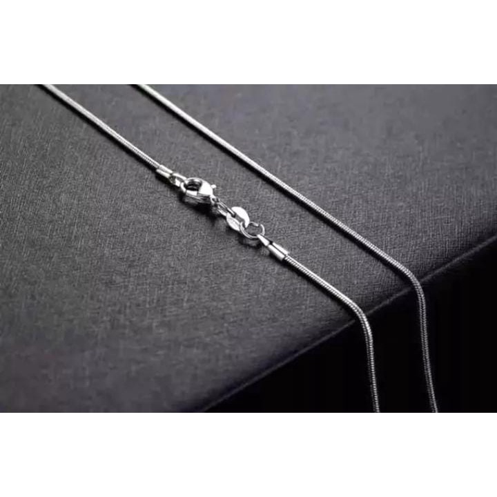 Kalung titanium tulang belut pria wanita stainless Steel