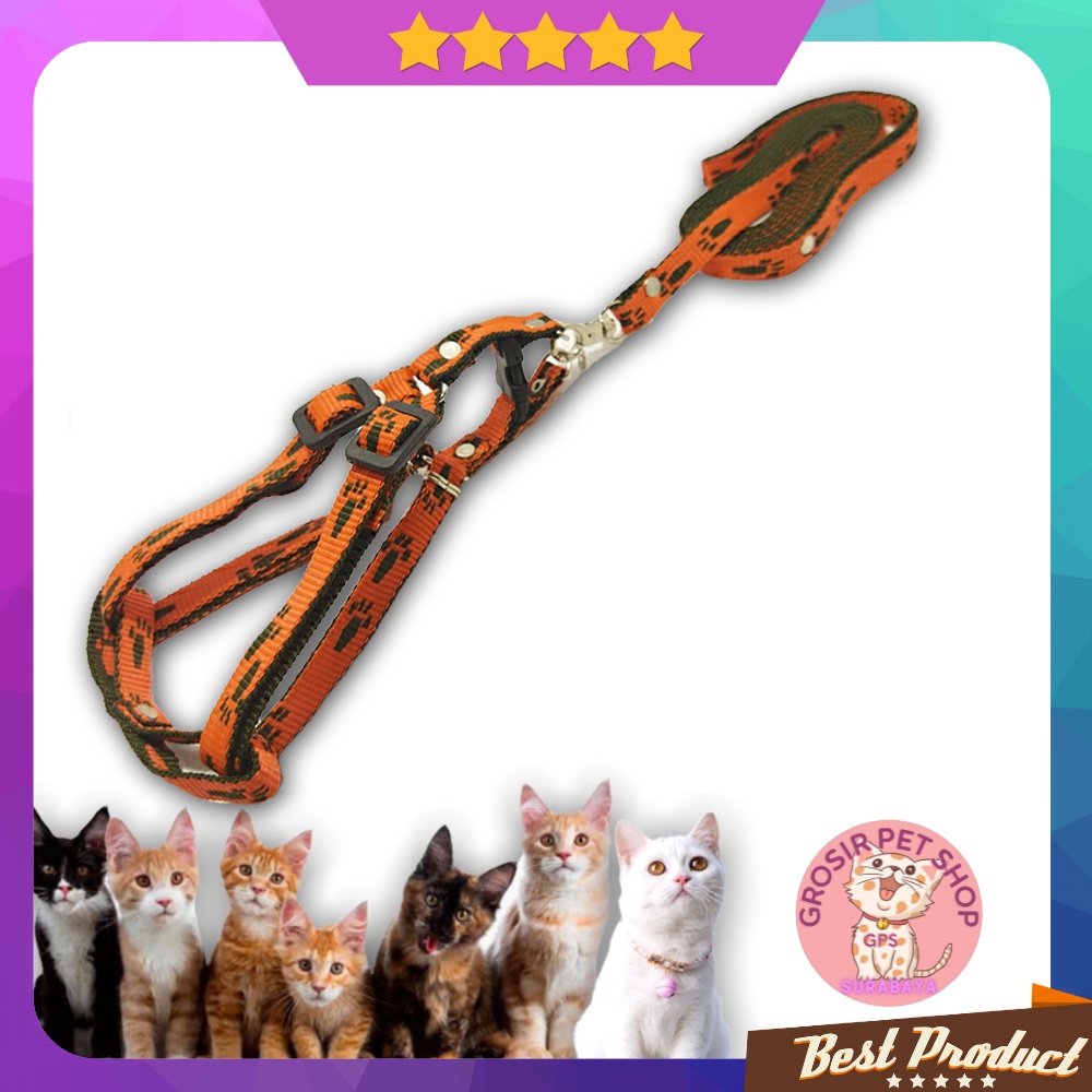 Tali harnes kucing / harness kucing model Y premium motif tapak