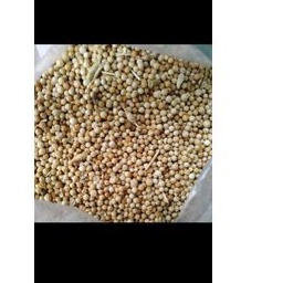 

ketumbar 1kg