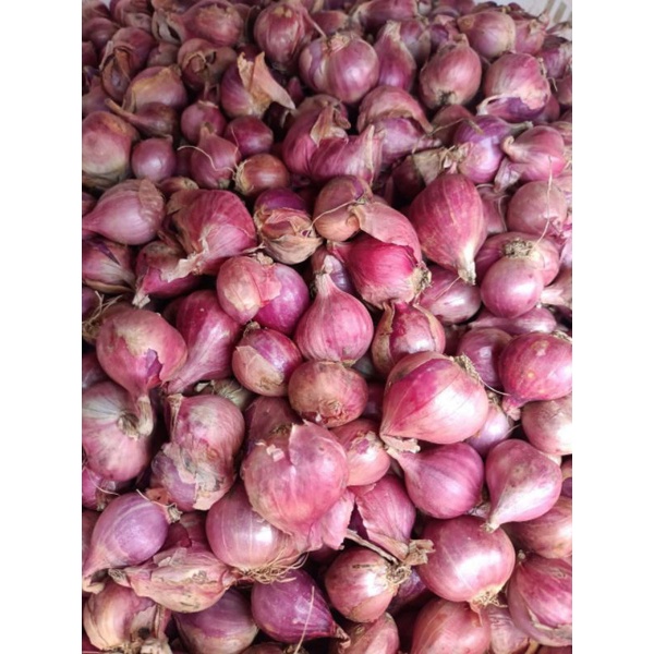

Bawang Merah Jawa