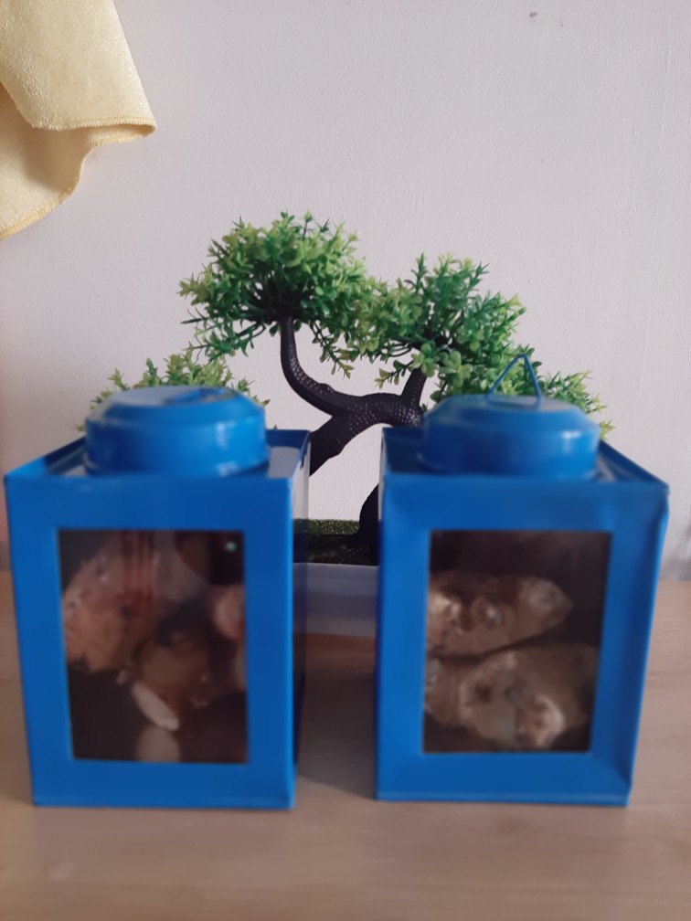 Kaleng Kerupuk Jadul Mini Ukuran 9x12 Cm Zanjabil Craft Bogor.