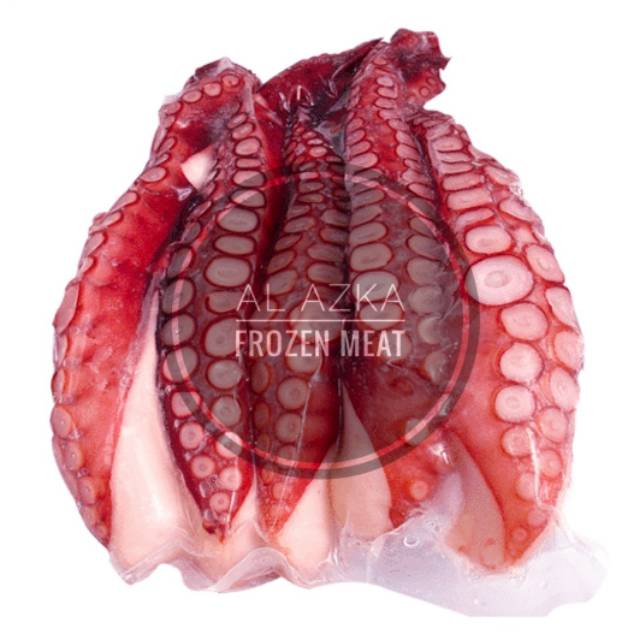 

Kaki Gurita / Tako Leg / Octopus Leg / Kaki Gurita Utuh Beku