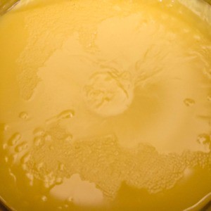 

Lanolin Anhydrous Cosmetic Grade 1kg