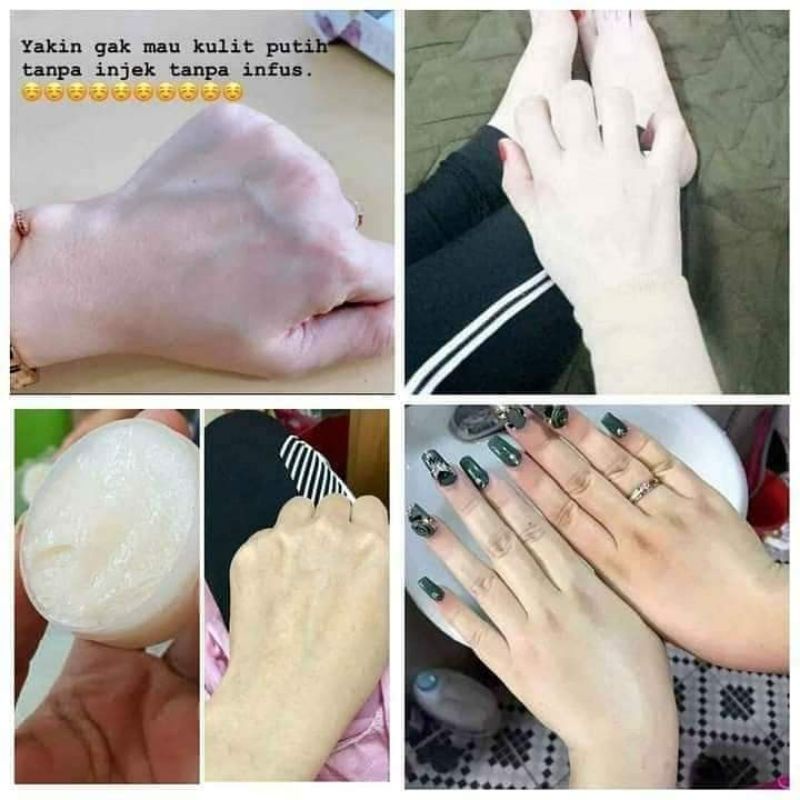 BIBIT PEMUTIH CINA 12PCS/ PERLUSIN