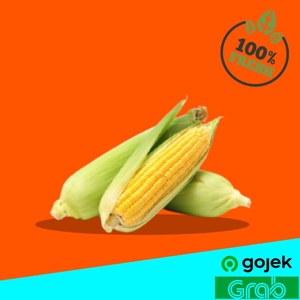 

Sayur Tangerang Sayuran Segar Jagung Manis 1 pcs