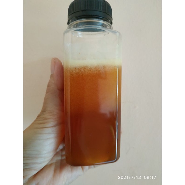 

GHIA Madu hutan Kalimantan