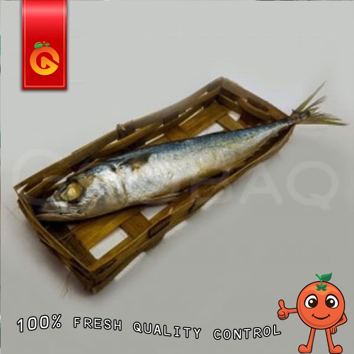 

IKAN CUEK FRESH PER 3 EKOR