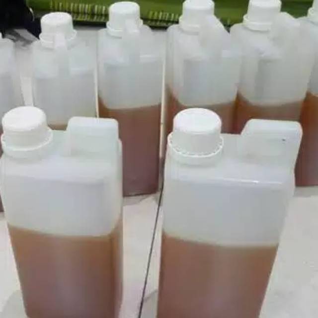 

Madu palembang
