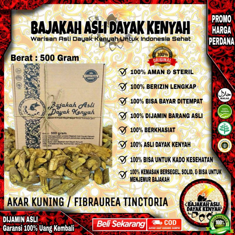 

BAJAKAH AKAR KUNING 500Gr - FIBRAUREA TINCTORIA - BAJAKAH ASLI DAYAK KENYAH