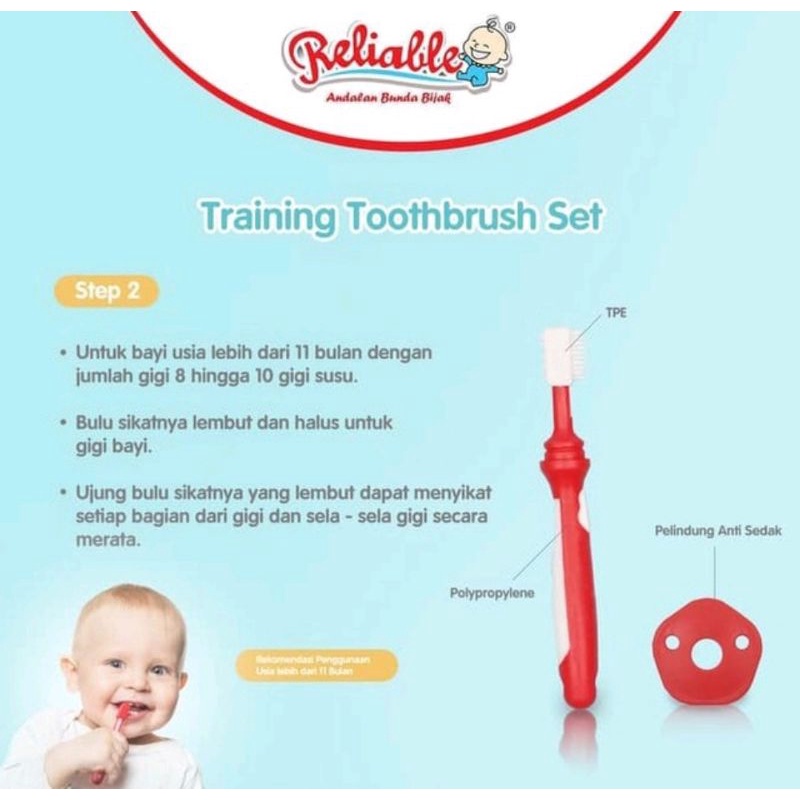 Training Toothbrush Set Reliable (RSB-7903)