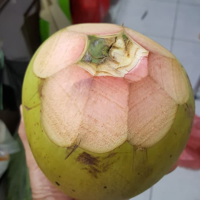 

Kelapa Hijau Green Coconut Fresh Klopo Ijo Kelapa Obat