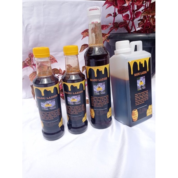 

Madu Hitan Murni 100% Asli || Apis Mellifera