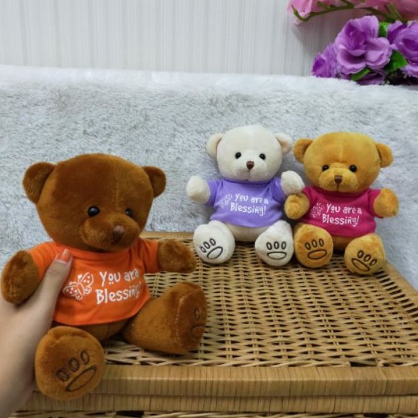 Boneka Bear T-shirt You Are Blessing Size 7&quot;/18cm/bear valentine