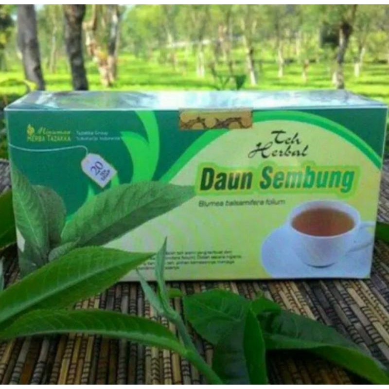 

Teh Herbal Teh Daun Sembung Original Tazakka Isi 20 Kantong Teh Celup