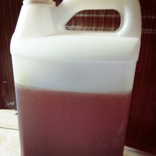 

Madu Lampung per 1 Kilo