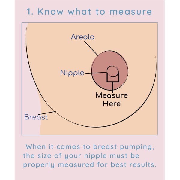 Spectra Corong XS S M L / Breastshield Spectra / Breast Shield Spectra