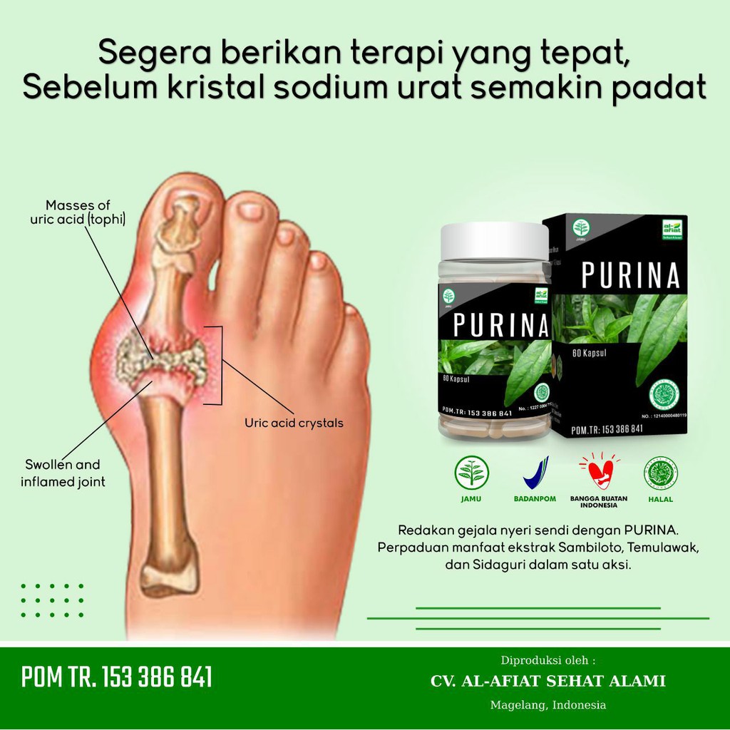 PURINA AL AFIAT 60 KAPSUL obat asam urat dan rematik