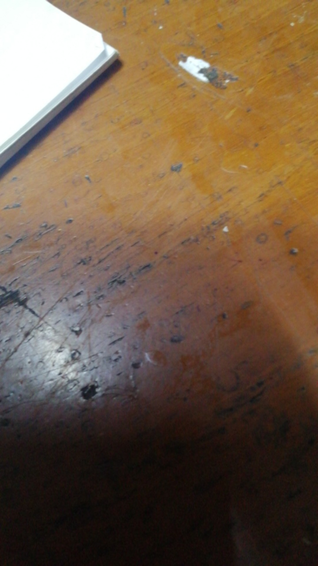 Alat Semprot Tanaman / Hama 8 Liter Mist8 Sprayer Tasco