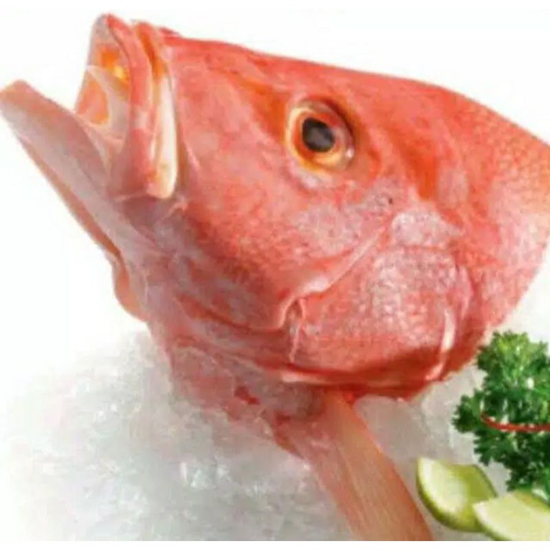 

Kepala Ikan Kakap Merah 1kg