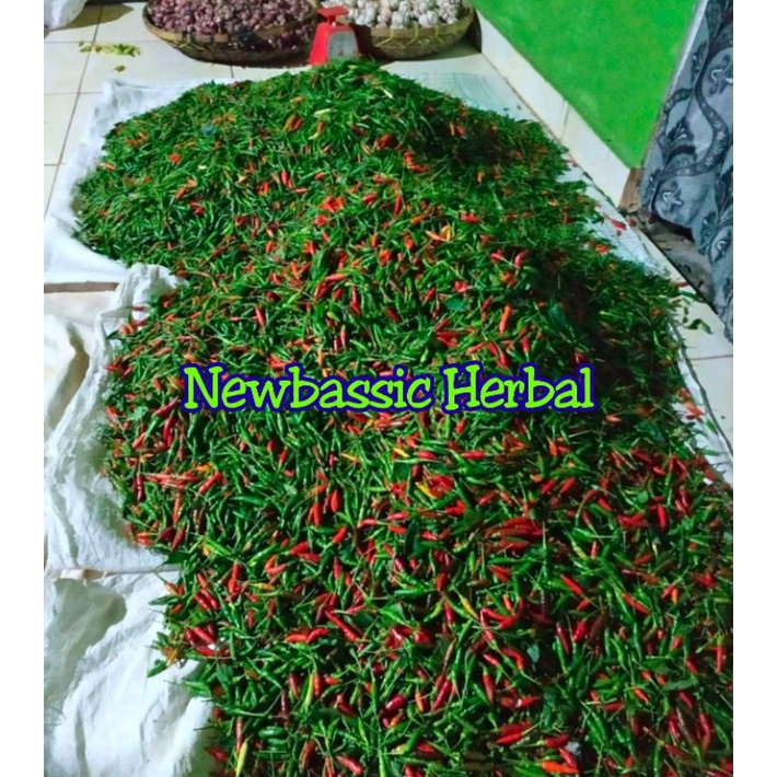 

cabe rawit gunung 250 gram