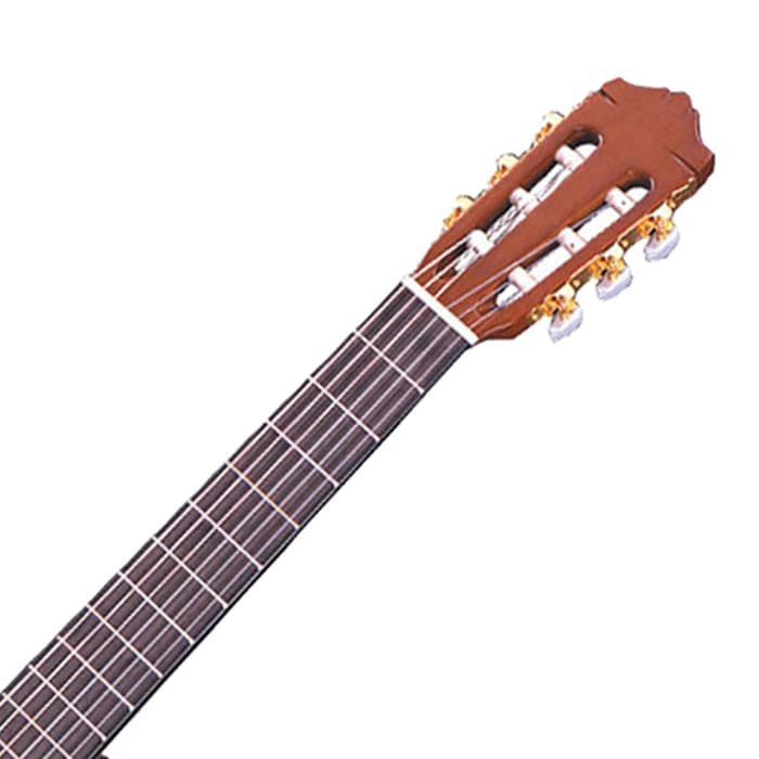 Yamaha Guitar Classical C-80 Case