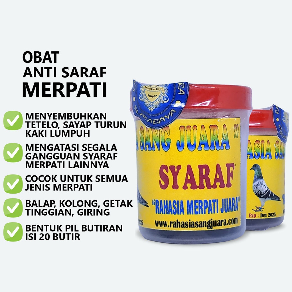 OBAT SYARAF MERPATI | OBAT TETELO MERPATI SAYAP TURUN LUMPUH KAKI PADA BURUNG MERPATI