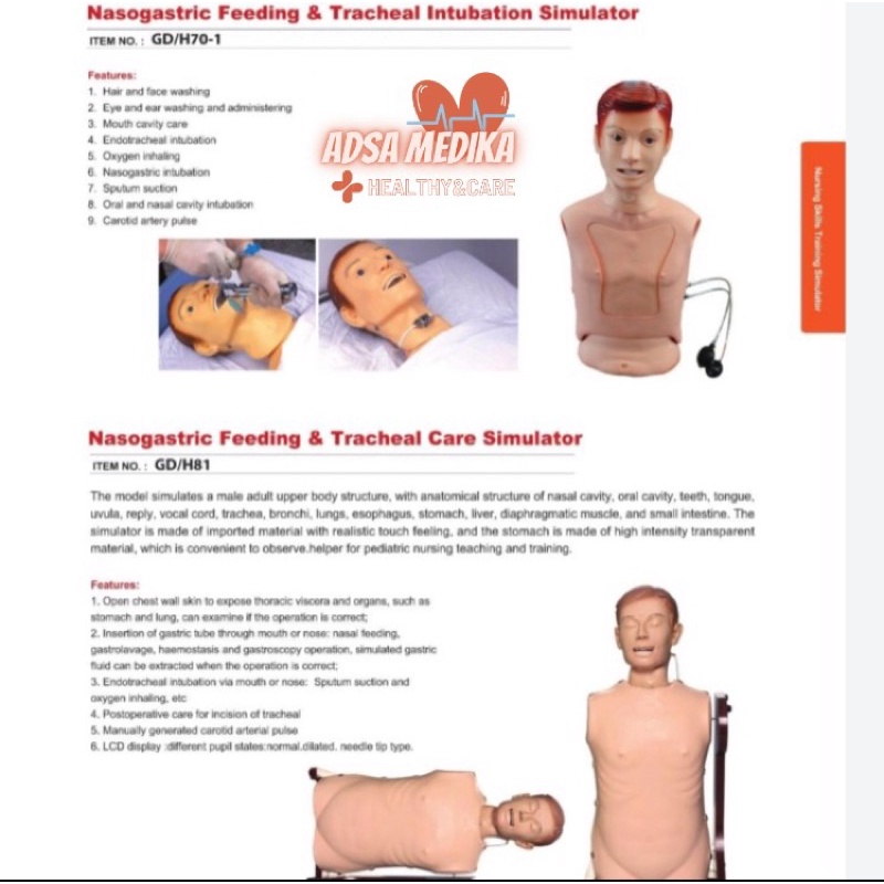 PHANTOM MANIKIN NGT GENERAL DOCTOR