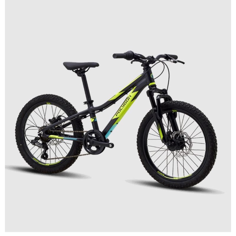 MTB 20" Polygon Relic 20