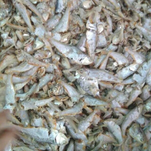 

Terimedan minimal order 500 gram