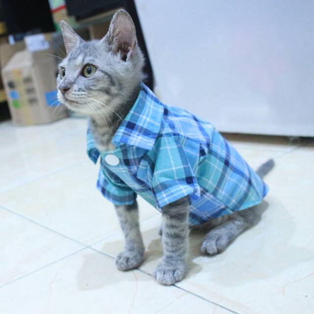 Kemeja kotak-kotak biru natural untuk kucing dan anjing size S M L XL / baju kucing murah terlaris